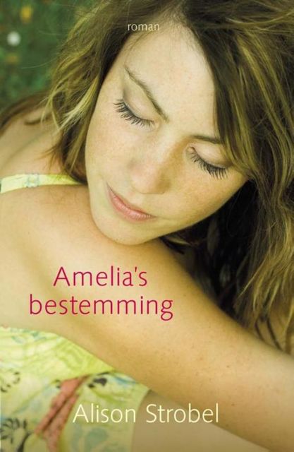 Amelia's bestemming, Alison Strobel