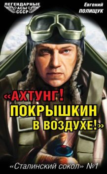 «Ахтунг! Покрышкин в воздухе!». «Сталинский сокол» № 1, Евгений Полищук