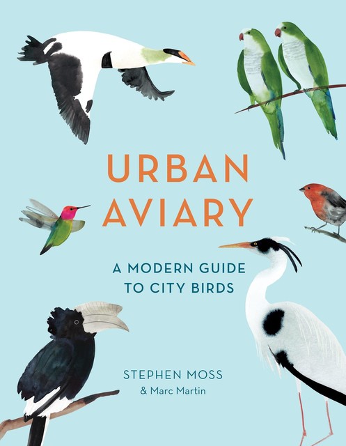 Urban Aviary, Stephen Moss