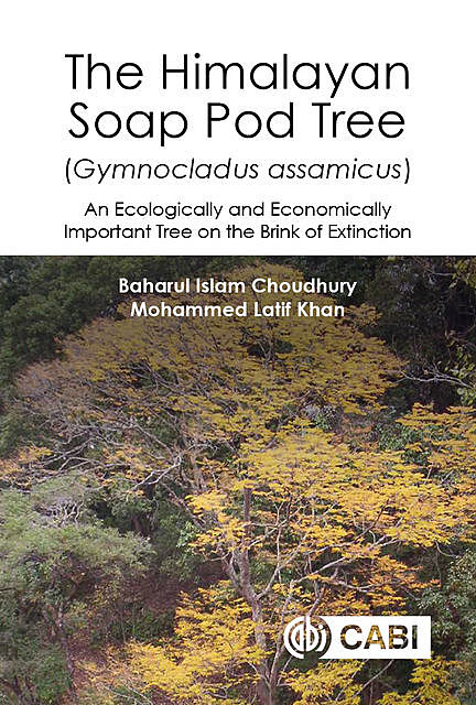 The Himalayan Soap Pod Tree <i>(Gymnocladus assamicus)</i, Mohammed Khan, Baharul I Choudhury