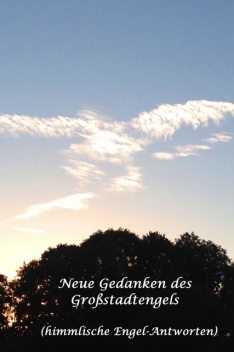 Neue Gedanken des Großstadtengels, Karin Anne Paul