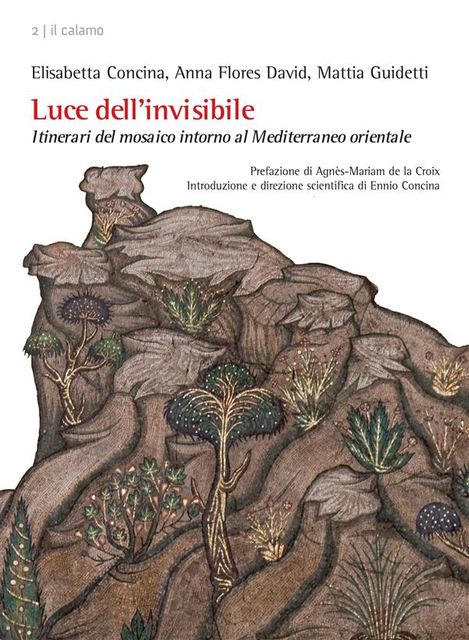 Luce dell’invisibile, E.Concina, M.Guidetti, David A.