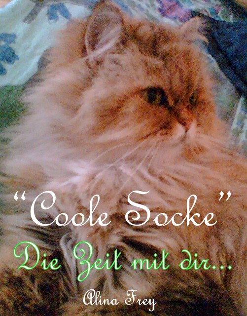 “Coole Socke” – Die Zeit mit dir, Alina Frey