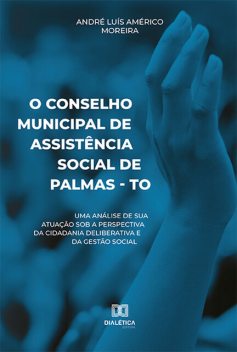O Conselho Municipal de Assistência Social de Palmas – TO, André Luís Américo Moreira