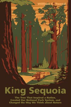 King Sequoia, William C. Tweed
