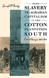 From Slavery to Agrarian Capitalism in the Cotton Plantation South, Joseph P. Reidy