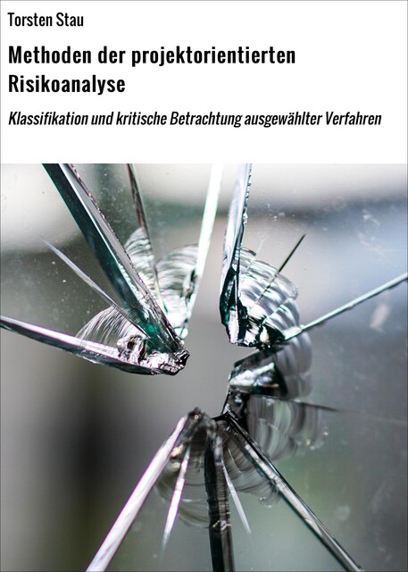 Methoden der projektorientierten Risikoanalyse, Torsten Stau