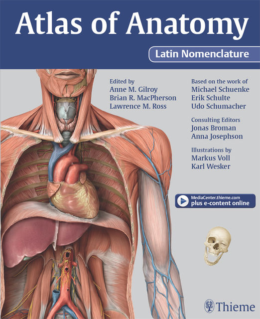 Atlas of Anatomy Latin Nomenclature version, Gilroy Anne, Brian R MacPherson, Lawrence M Ross