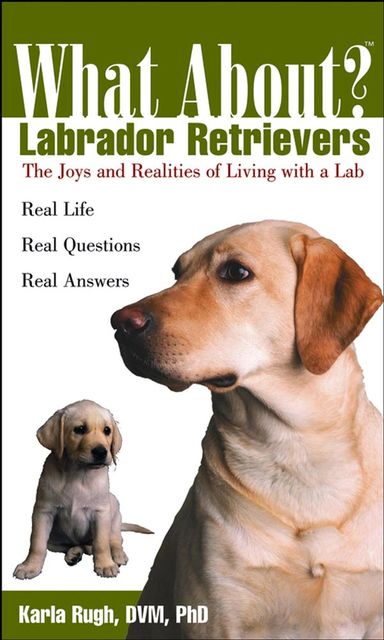 What About Labrador Retrievers, 