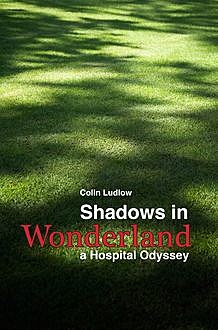 Shadows in Wonderland, Colin Ludlow