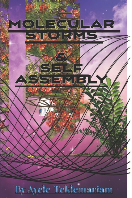 Molecular Storms and Self-Assembly, Ayele Teklemariam