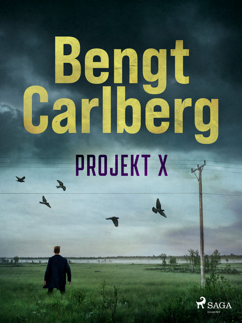 Projekt X, Bengt Carlberg
