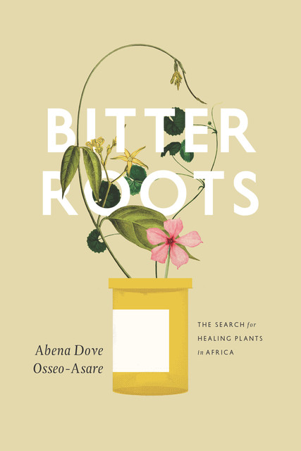Bitter Roots, Abena Dove Osseo-Asare