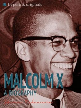 Malcolm X: A Biography, Steven Takamura
