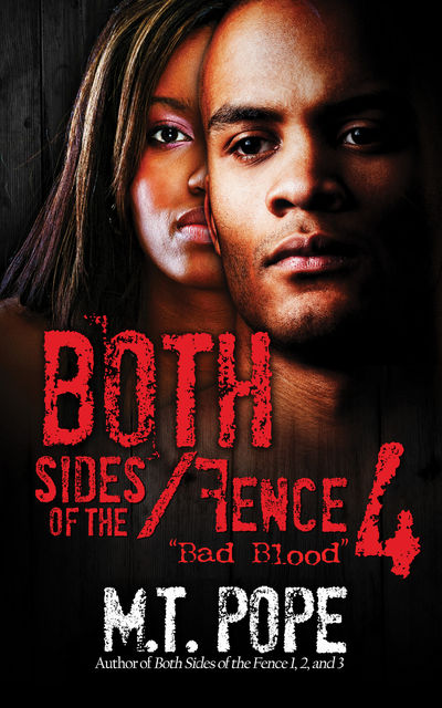 Both Sides of the Fence 4, M.T. Pope