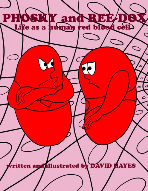 Phosky and Reedox: Life As a Human Red Blood Cell, David Hayes