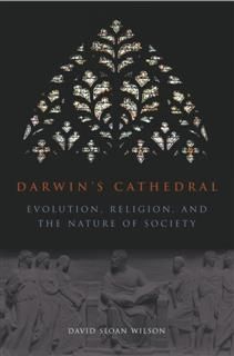 Darwin's Cathedral, David Wilson