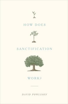 How Does Sanctification Work, David Powlison