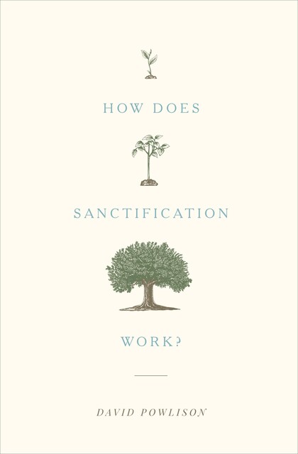 How Does Sanctification Work, David Powlison