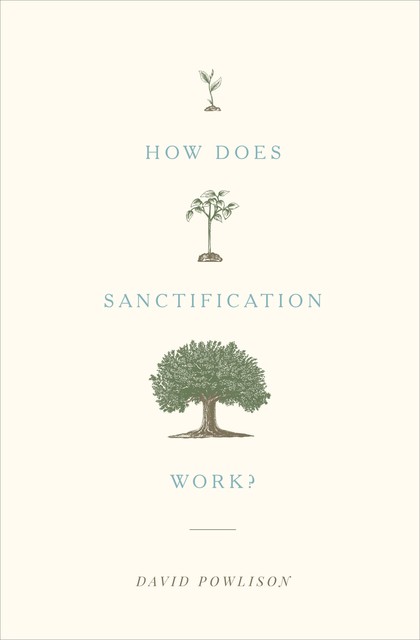 How Does Sanctification Work, David Powlison