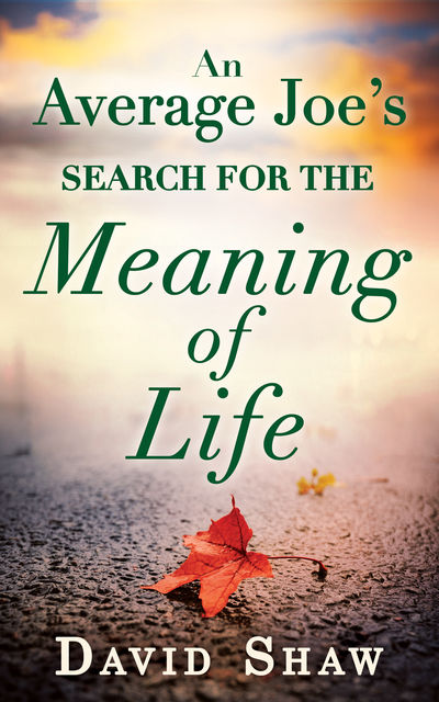 An Average Joe's Search For The Meaning Of Life, David Shaw