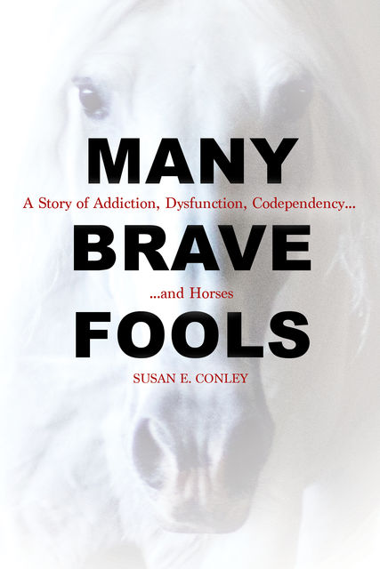 Many Brave Fools, Susan Conley