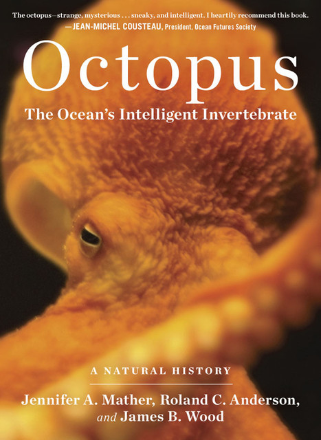Octopus, Wood James, Jennifer A. Mather, Roland C. Anderson