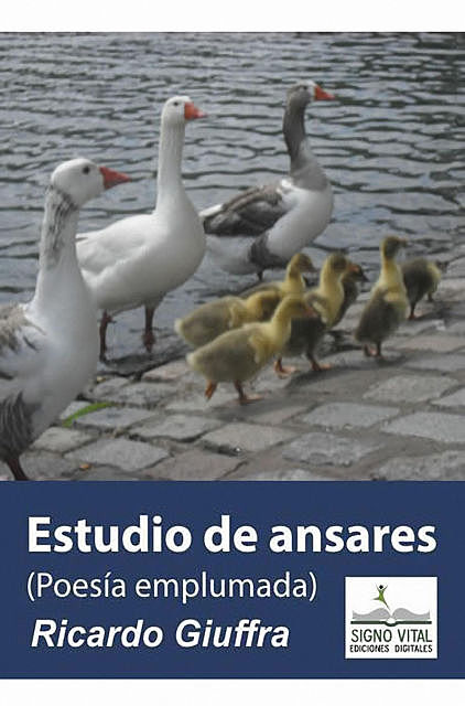 Estudio de Ansares, Ricardo Giuffra