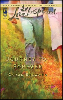 Journey To Forever, Carol Steward