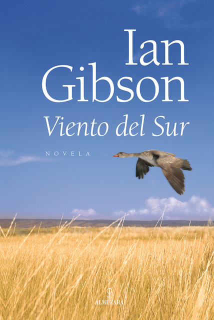 Viento del Sur, Ian Gibson