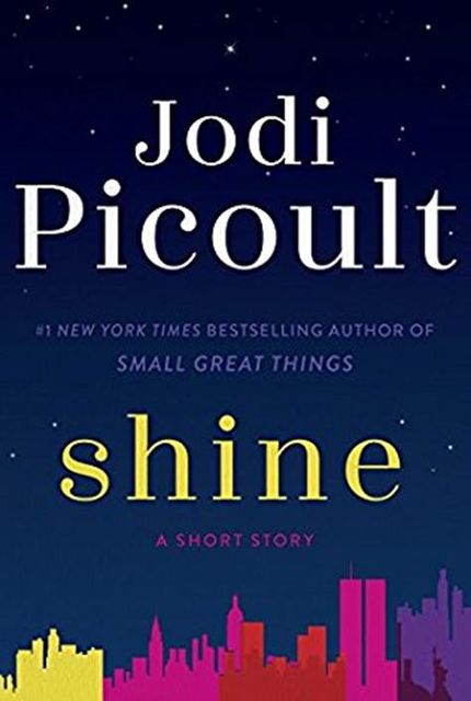 Shine, Jodi Picoult