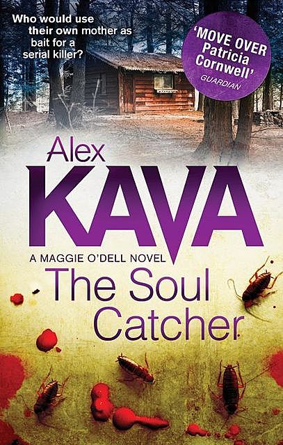 The Soul Catcher, Alex Kava