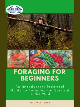 Foraging For Beginners, Craig Jones