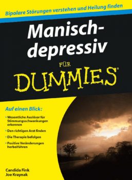 Manisch-depressiv fr Dummies, Joe Kraynak, Candida Fink