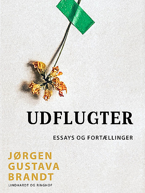Udflugter, Jørgen Gustava Brandt