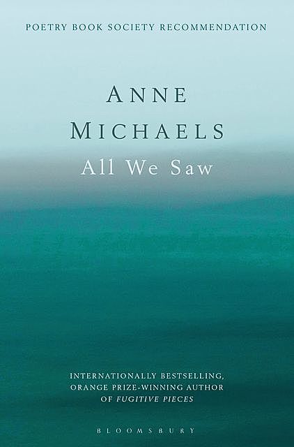 All We Saw, Anne Michaels