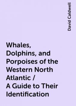 Whales, Dolphins, and Porpoises of the Western North Atlantic / A Guide to Their Identification, David Caldwell