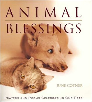 Animal Blessings, June Cotner