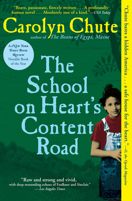 The School on Heart's Content Road, Carolyn Chute
