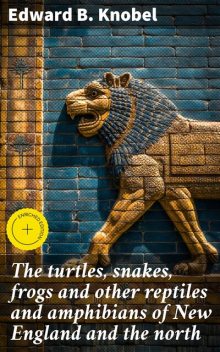 The turtles, snakes, frogs and other reptiles and amphibians of New England and the north, Edward Knobel