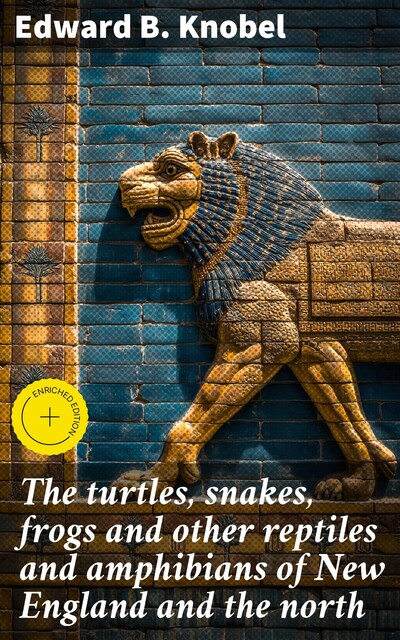 The turtles, snakes, frogs and other reptiles and amphibians of New England and the north, Edward Knobel