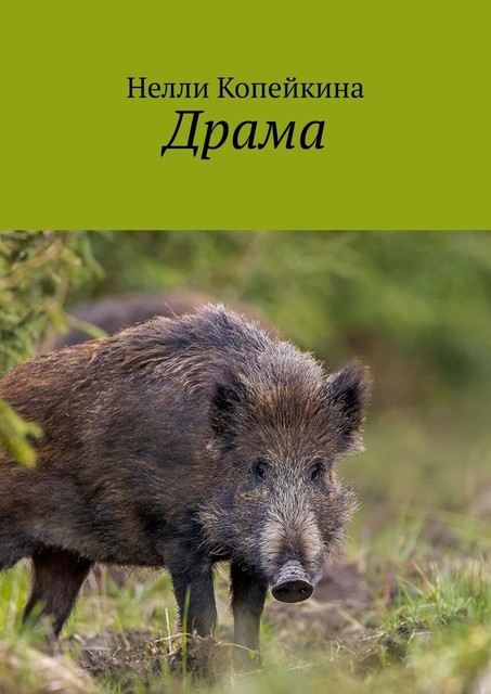 Драма, Нелли Копейкина