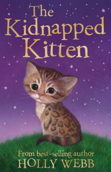 The Kidnapped Kitten, Holly Webb