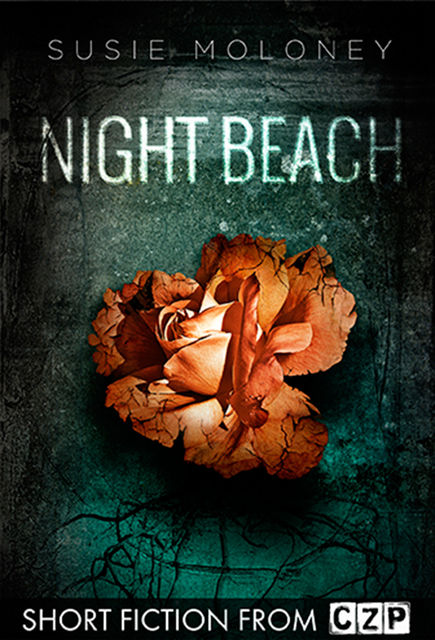 Night Beach, Susie Moloney