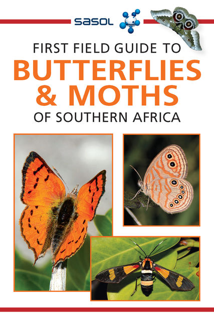 First Field Guide to Butterflies & Moths, Simon van Noort