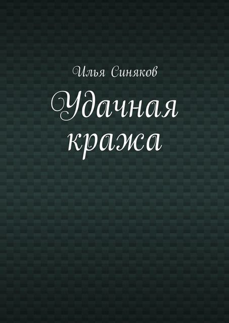 Удачная кража, Синяков Илья