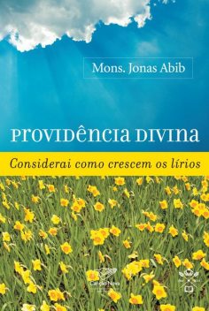Providência divina, Monsenhor Jonas Abib