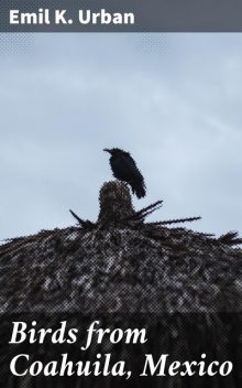 Birds from Coahuila, Mexico, Emil K.Urban