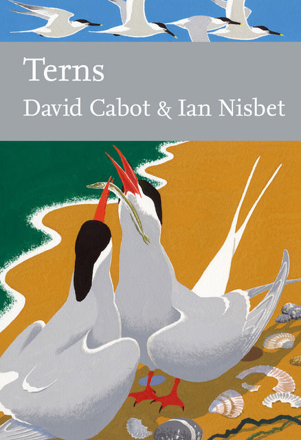 Terns (Collins New Naturalist Library, Book 123), David Cabot, Ian Nisbet