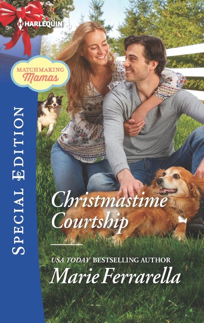 Christmastime Courtship, Marie Ferrarella